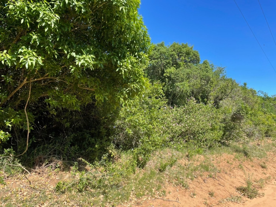 0 Bedroom Property for Sale in Bathurst Eastern Cape